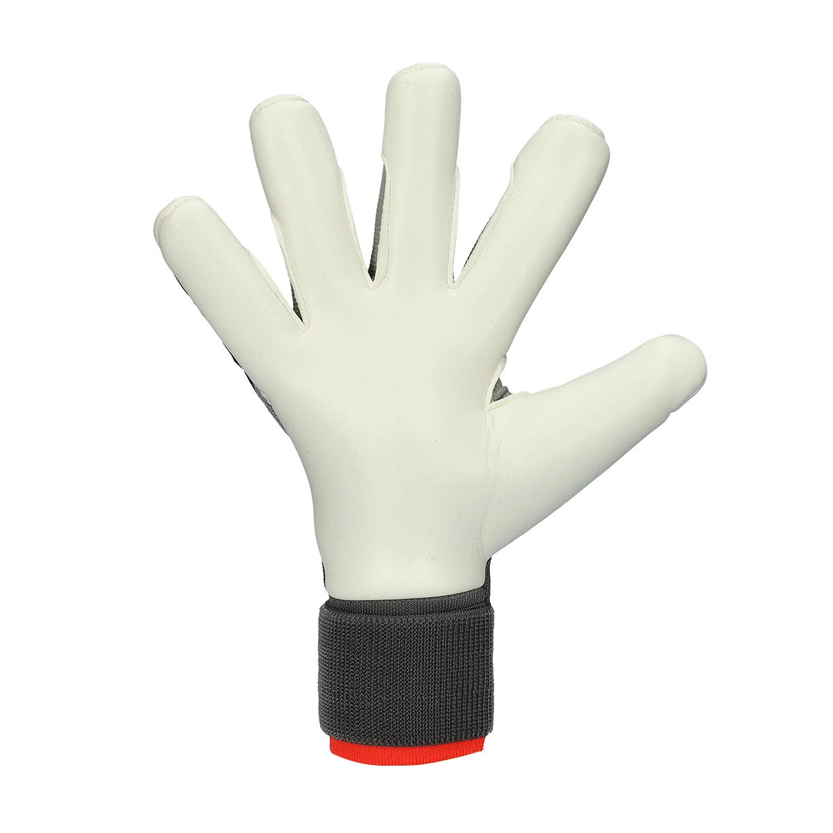 Adidas Predator Pro Hybrid Handschoen
