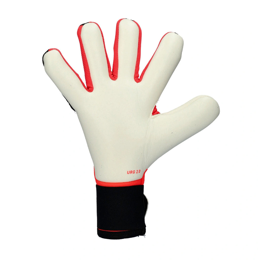 Adidas Predator Competition Handschoen