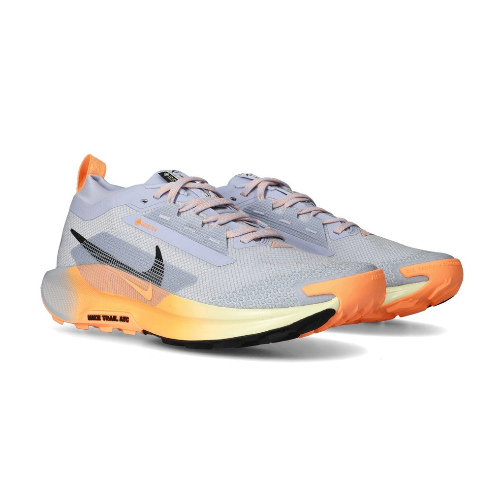 Nike Pegasus Trail 5 Gore-Tex Sneaker Heren