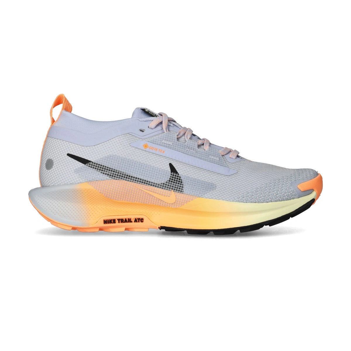 Nike Pegasus Trail 5 Gore-Tex Sneaker Heren