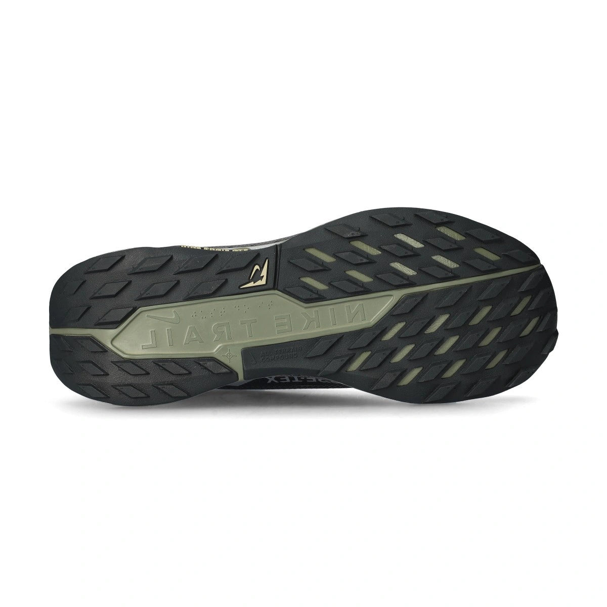 Nike Pegasus Trail 5 Gore-Tex Sneaker Heren