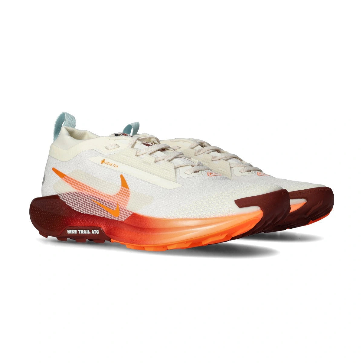 Nike Pegasus Trail 5 Gore-Tex Sneaker Heren