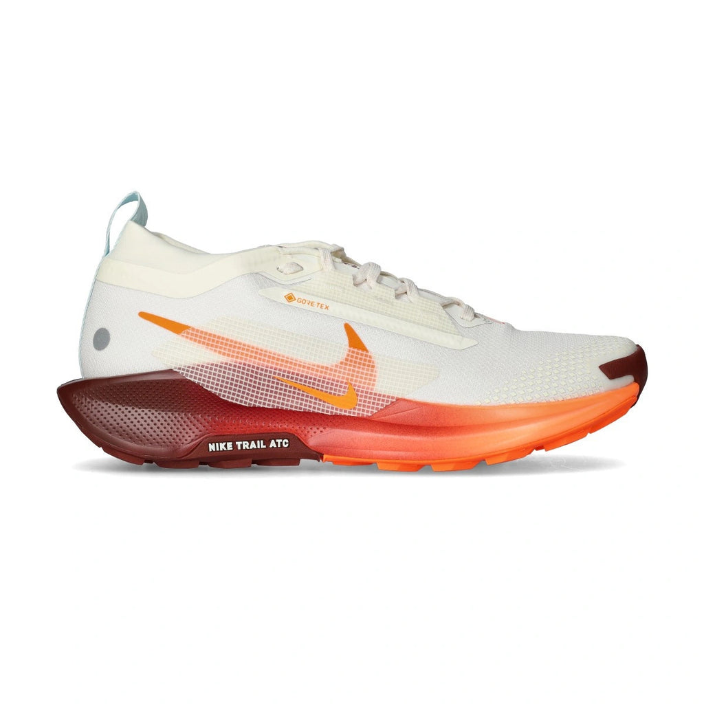 Nike Pegasus Trail 5 Gore-Tex Sneaker Heren